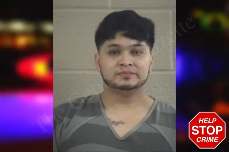 Alex Colmenares-Casrnova