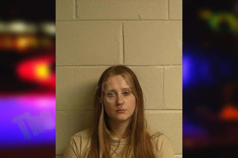 Alicia Fortney Mugshots