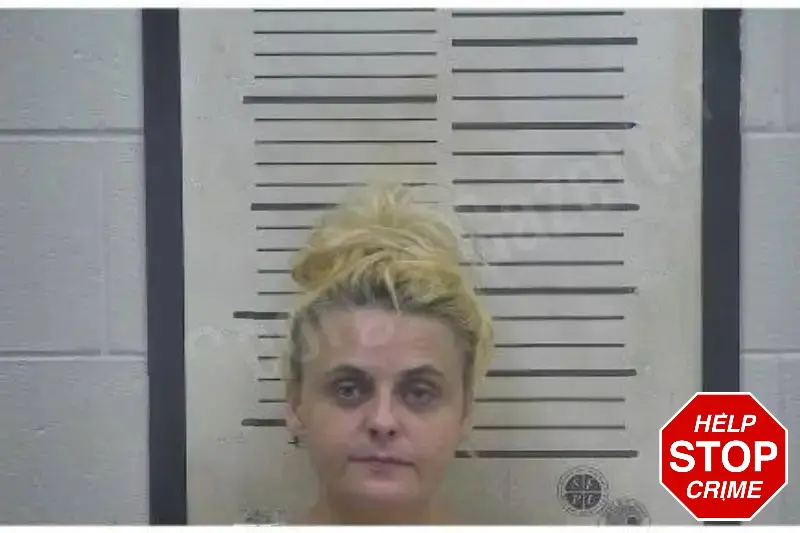 Allie Kirkland Mugshots