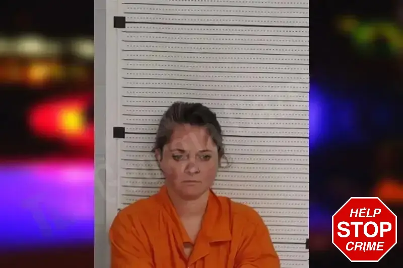 Allison Cornelia Mugshots