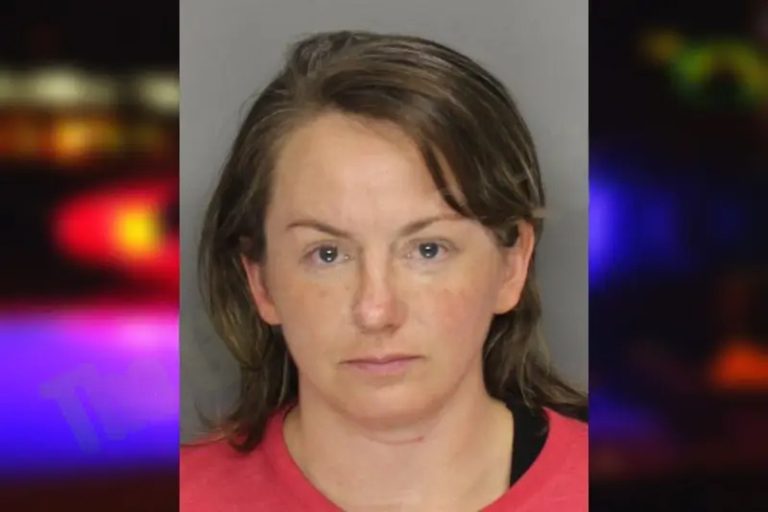 Allison Garcia mugshot – Cobb County , Georgia Allison Garcia