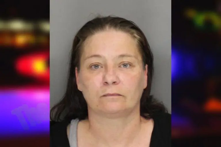 Amanda Lambey mugshot – Cobb County , Georgia Amanda Lambey