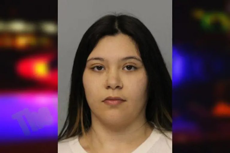 Angelica Garrido-Wofford mugshot – Hall County , Georgia Angelica Garrido-Wofford