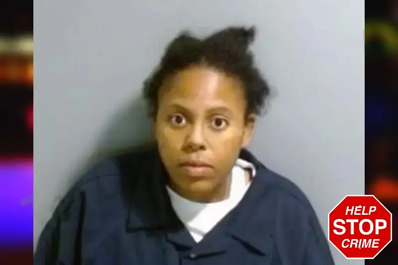 Angelica Johnson Mugshots