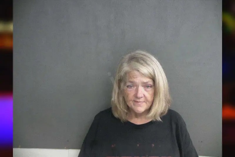 Anita Honeycutt Mugshots