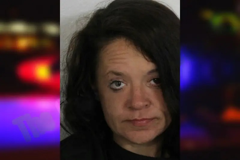 Ashley Davenport Mugshots