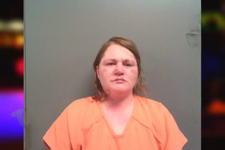 Ashley Ore mugshot – Lumpkin County , Georgia Ashley Ore