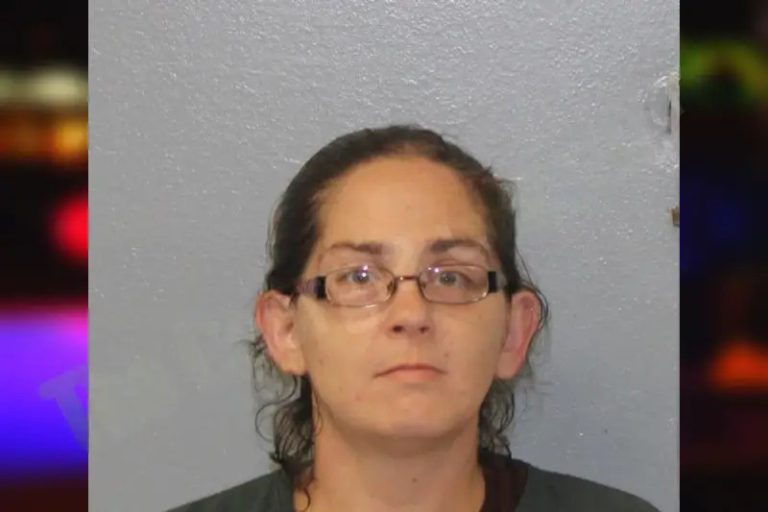 Ashley Wheeler mugshot – Mcintosh County , Georgia Ashley Wheeler