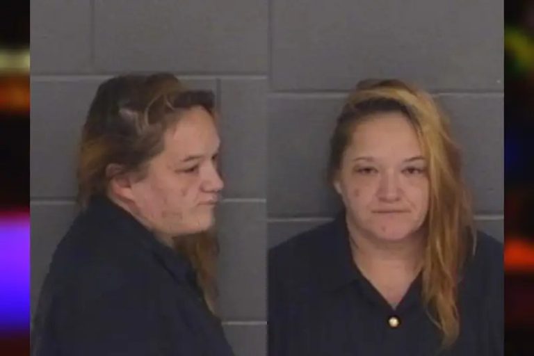 Brittany Adams mugshot – Barrow County , Georgia Brittany Adams