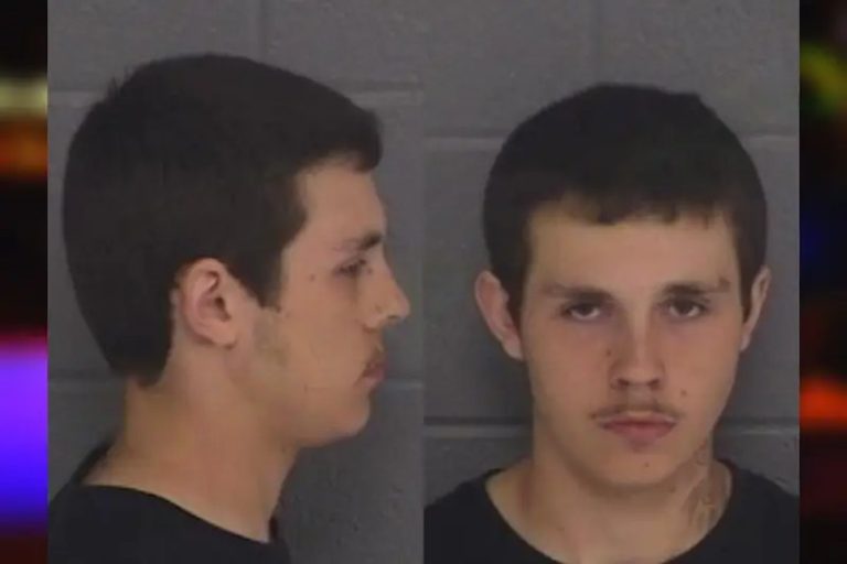 Brodie Beeching mugshot – Barrow County , Georgia Brodie Beeching