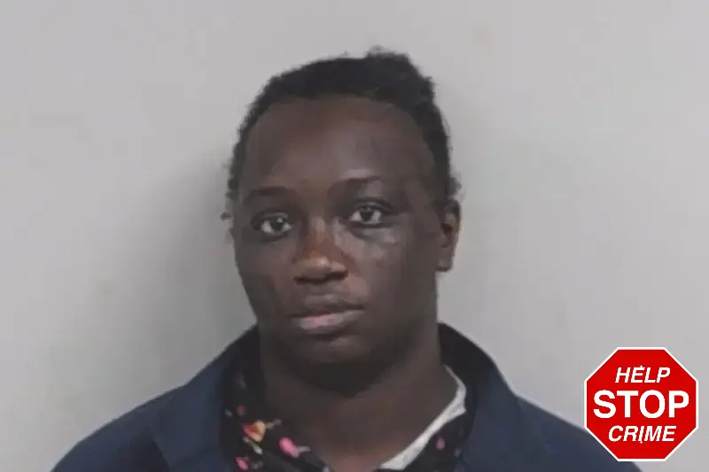 Carnessa Sims Mugshots