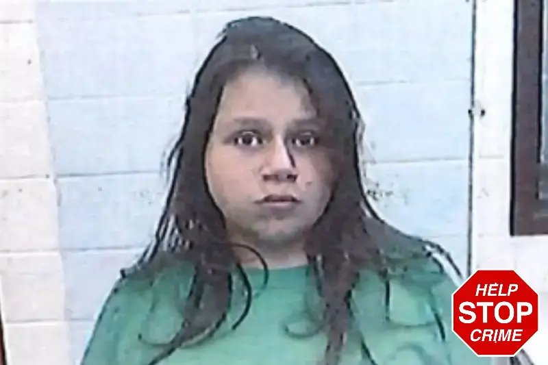 Caroline Sanchez Mugshots