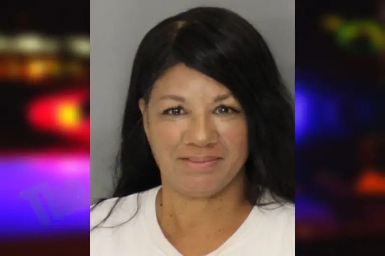 Cecilia Wallace mugshot – Cobb County , Georgia Cecilia Wallace