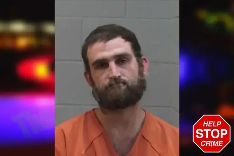 Chadwich Lewis-Williams