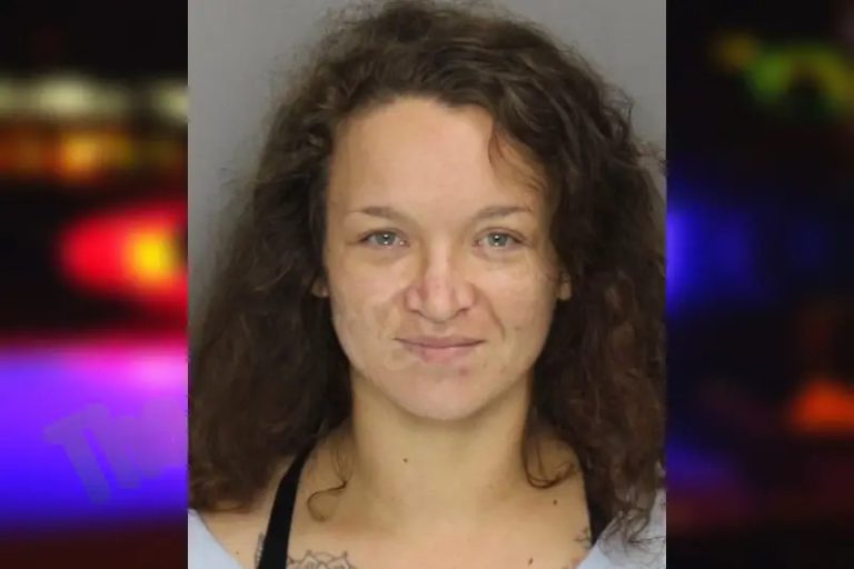 Chelsea Dees mugshot – Cobb County , Georgia Chelsea Dees