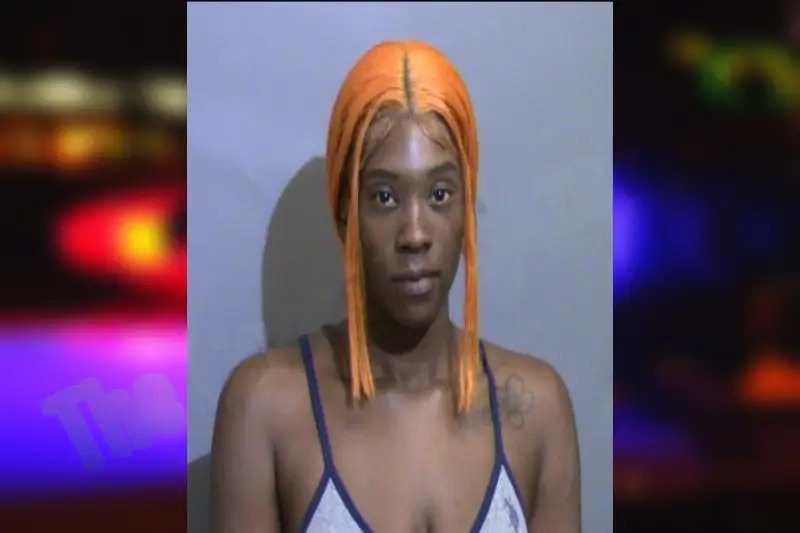 Chrishelle Young Mugshots