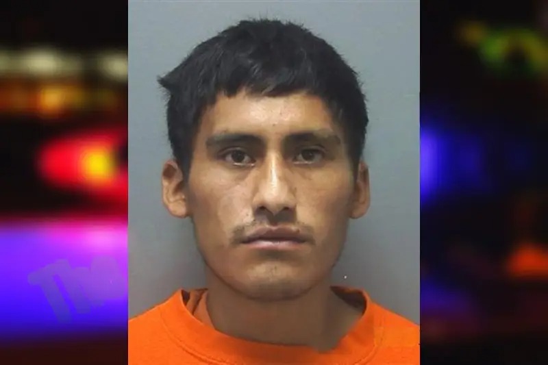 Christhian Pumatana-Tambine Mugshots