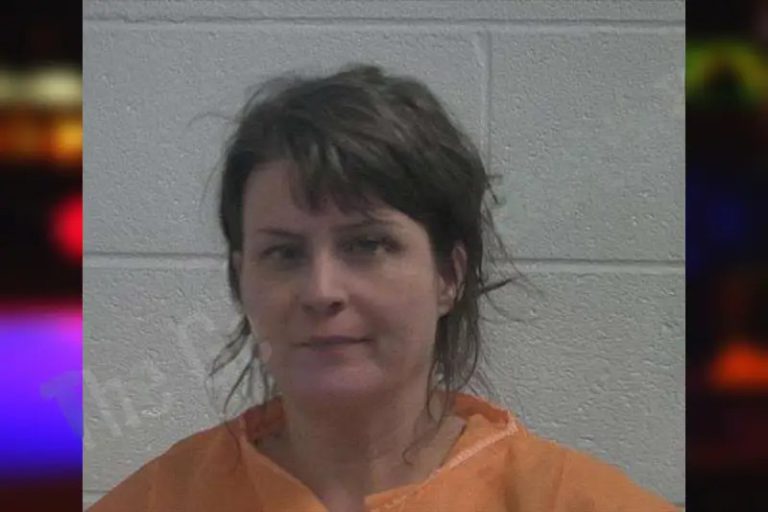 Christina Goldman mugshot – McDuffie County , Georgia Christina Goldman