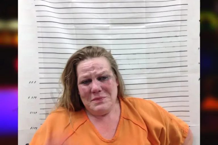 Cynthia Sokolowski mugshot – Pickens County , Georgia Cynthia Sokolowski