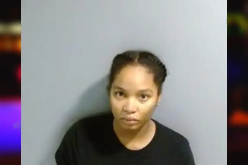 Damaris Cook Mugshots