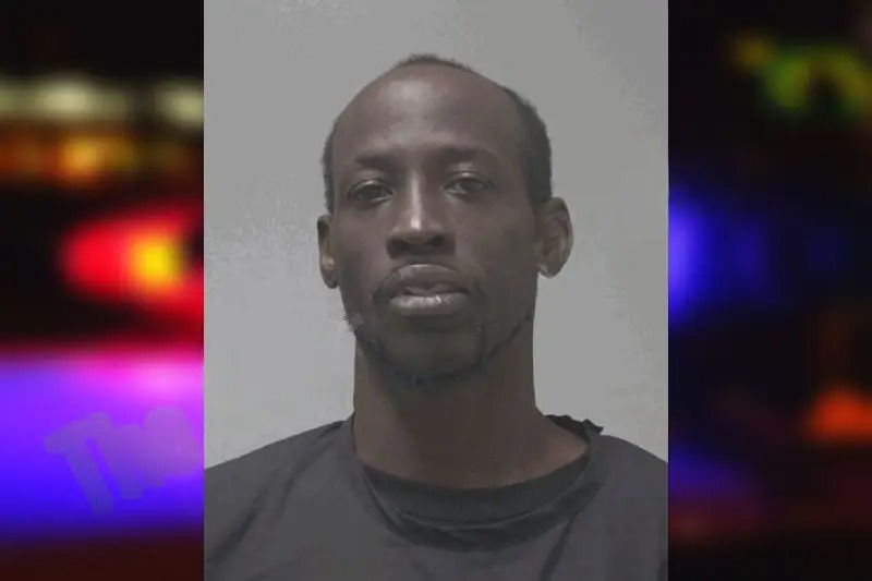 Dannie Mountain Mugshots