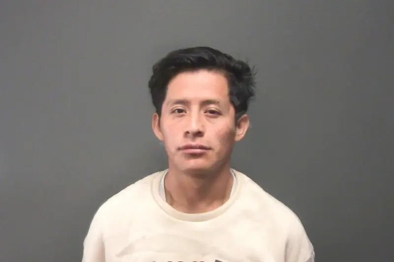 Dario Pelico-Vicente Mugshots