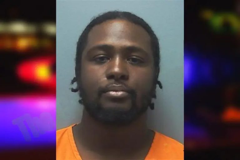 Demarco Storey mugshot – Cherokee County , Georgia Demarco Storey