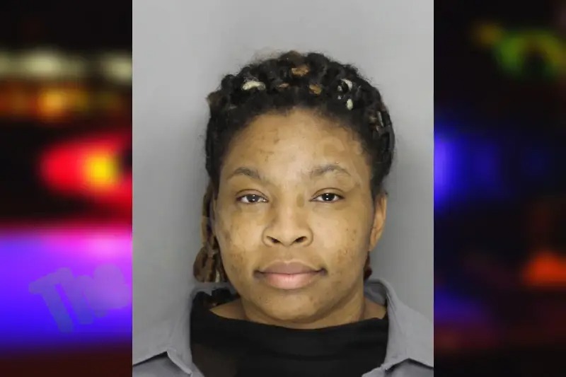 Djuana Fletcher Mugshots