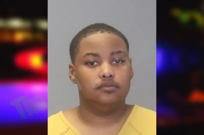 Elissya Jones Mugshots