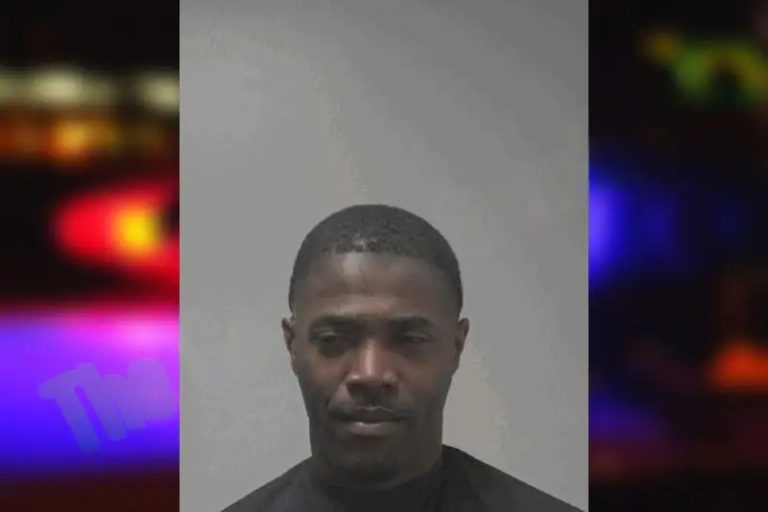 Elke Berry mugshot – Coweta County , Georgia Elke Berry