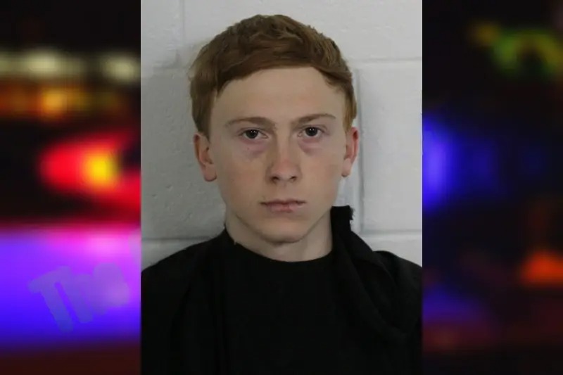 Ethan Boswell Mugshots