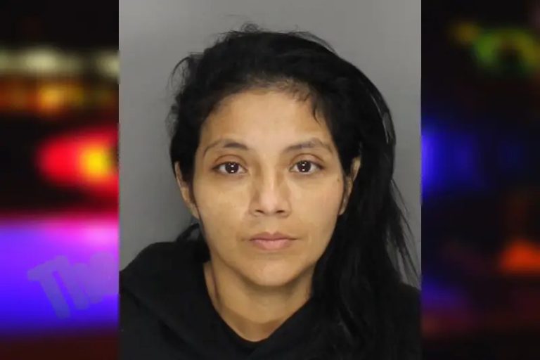 Gabriela Rodriguez mugshot – Cobb County , Georgia Gabriela Rodriguez