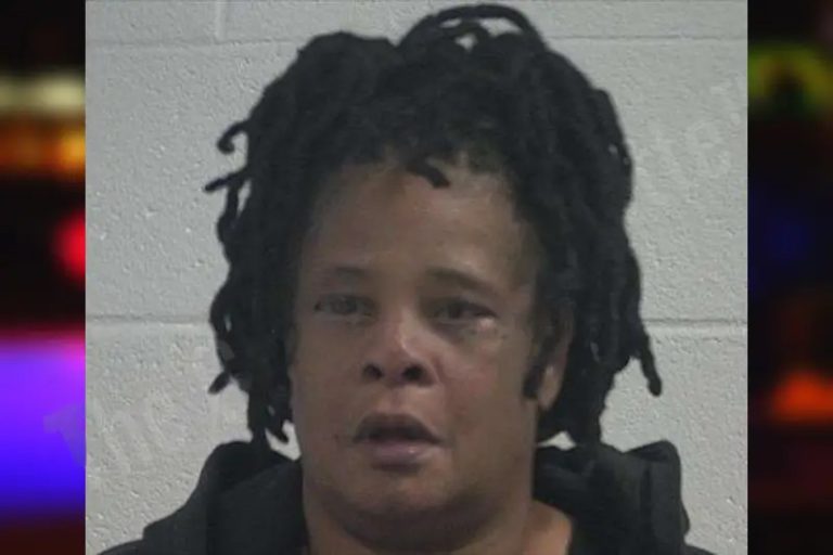 Glynis Ferguson mugshot – McDuffie County , Georgia Glynis Ferguson