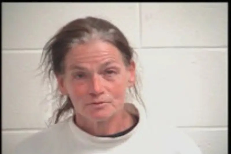 Heather Pike mugshot