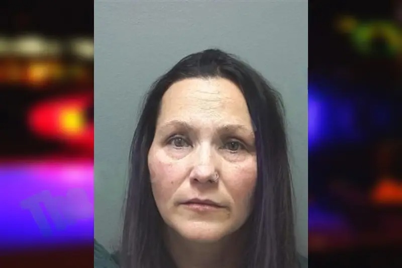 Heather Wallace Mugshots