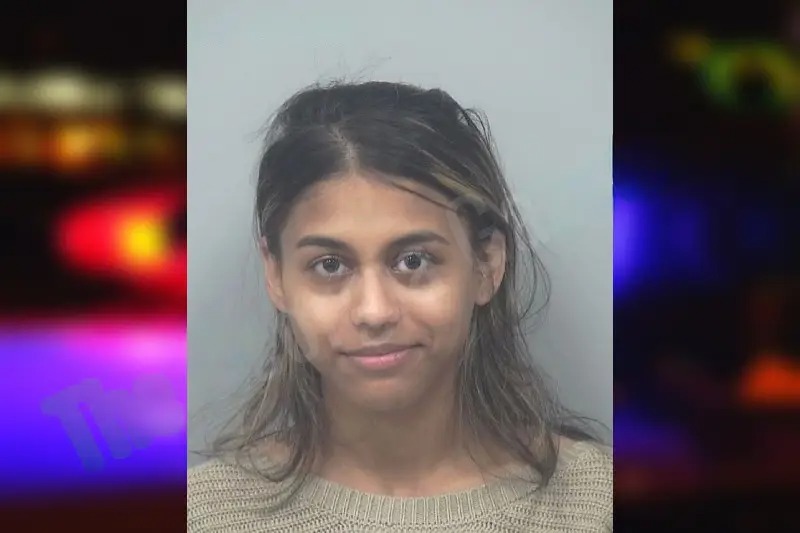Heena Vali Mugshots