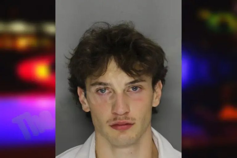 Hudson Bashkin mugshot – Cobb County , Georgia Hudson Bashkin