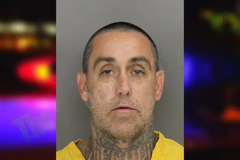 Ian Weigant mugshot – Cobb County , Georgia Ian Weigant