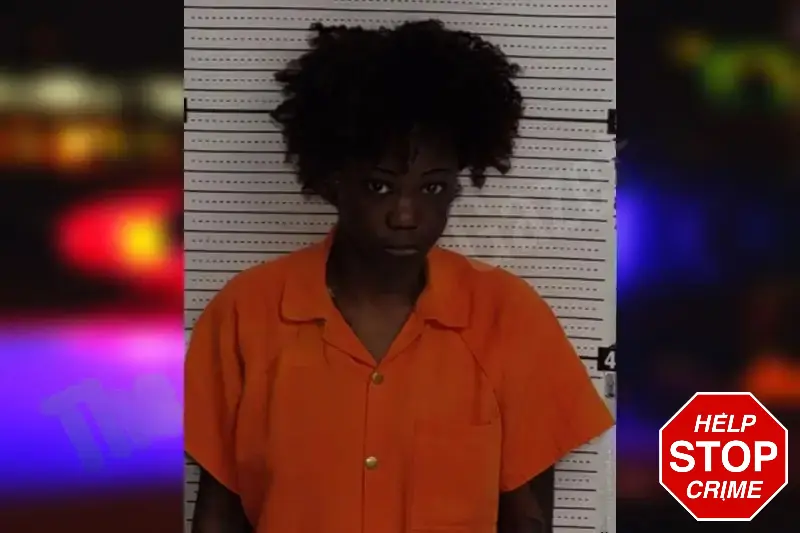 Jahnyah David Mugshots