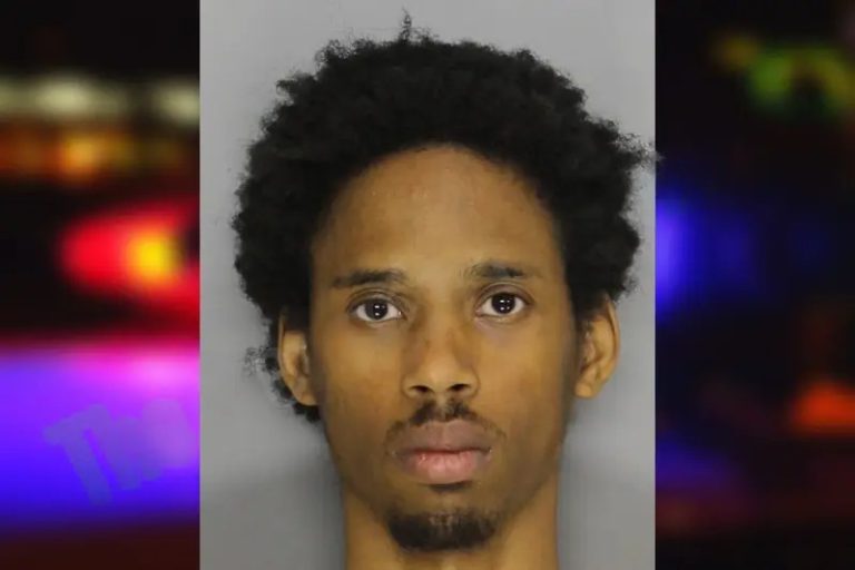 Jaylynn Stewart mugshot – Cobb County , Georgia Jaylynn Stewart