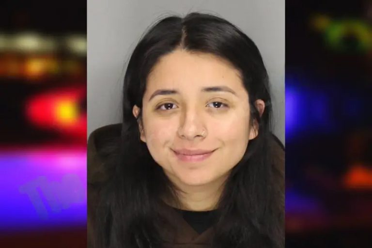 Jessica Nunez mugshot – Cobb County , Georgia Jessica Nunez
