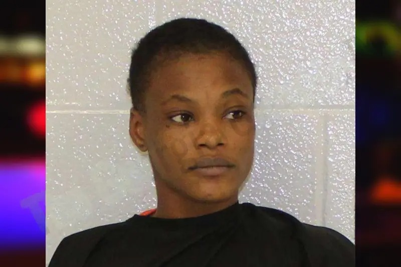 Jessica Shooks Mugshots