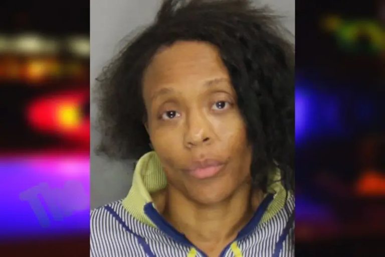 Johanna Jackson mugshot – Cobb County , Georgia Johanna Jackson