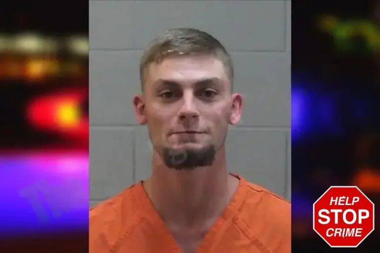 Jonathan Bray-Fleming