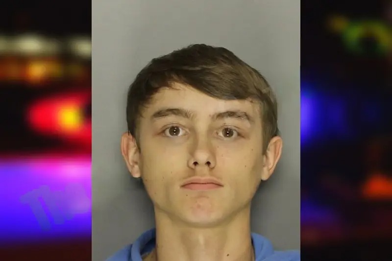 Jordan Swan Mugshots