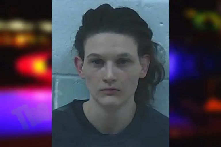 Julie Johnson mugshot – Jackson County , Georgia Julie Johnson