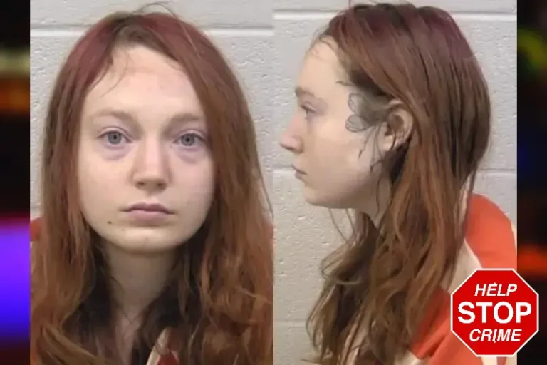 Kaitlyn McElroy mugshot – Carroll County , Georgia Kaitlyn McElroy