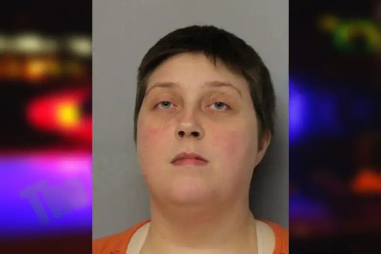 Katie Anderson mugshot – Hall County , Georgia Katie Anderson