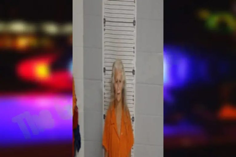 Kerrie Wisecup mugshot β Rockdale County , Georgia Kerrie Wisecup