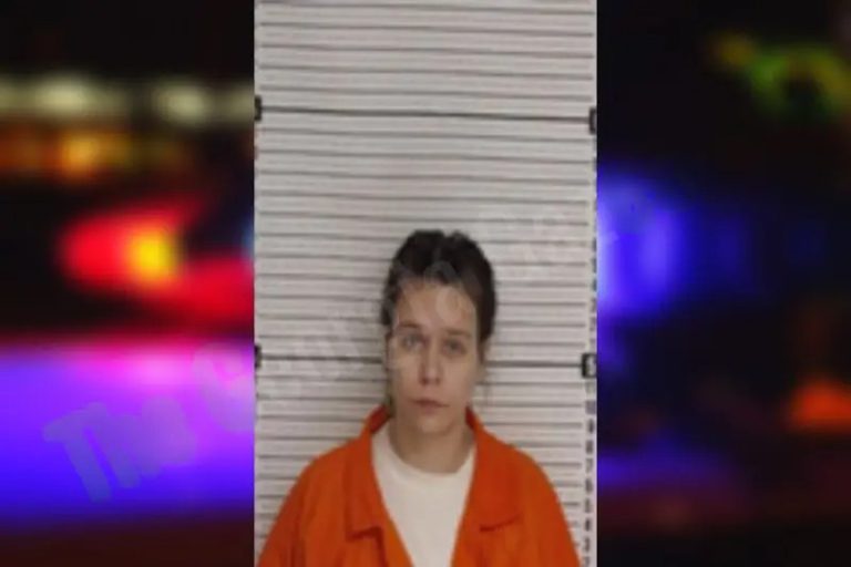 Kristina Atkins mugshot – Rockdale County , Georgia Kristina Atkins